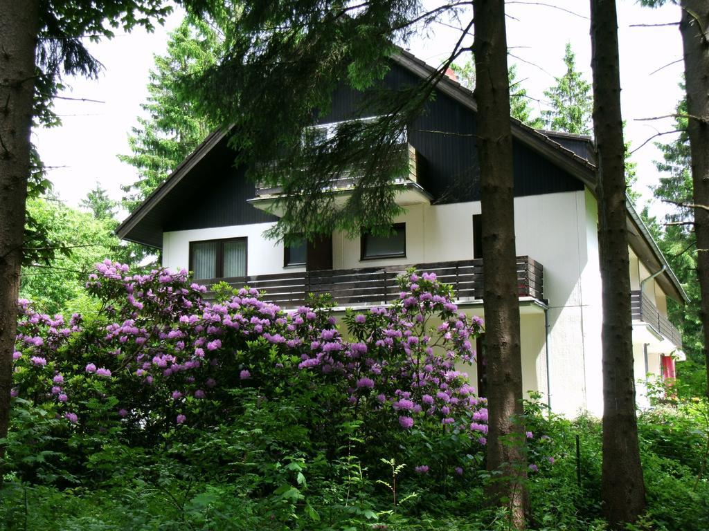 Haus Hirschmann Hotel Goslar Ngoại thất bức ảnh